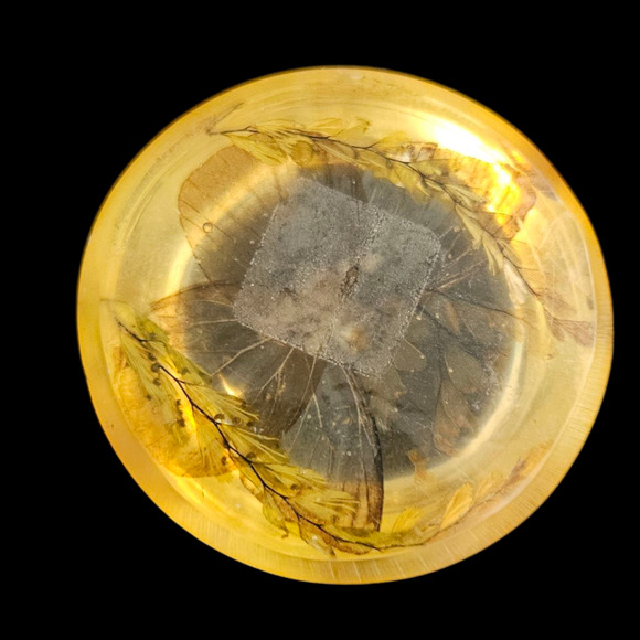 Vintage 1950s Resin Dome Paperweight Real Butterfly Insect Specimen 2.5" - Picture 6 of 6